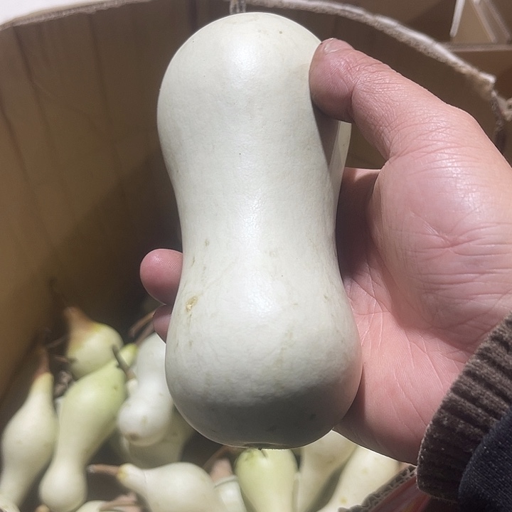 非洲紫檀（红花梨）酒**子