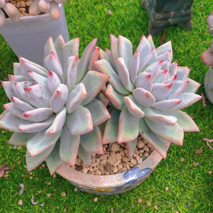 谢谢你的支持0000078