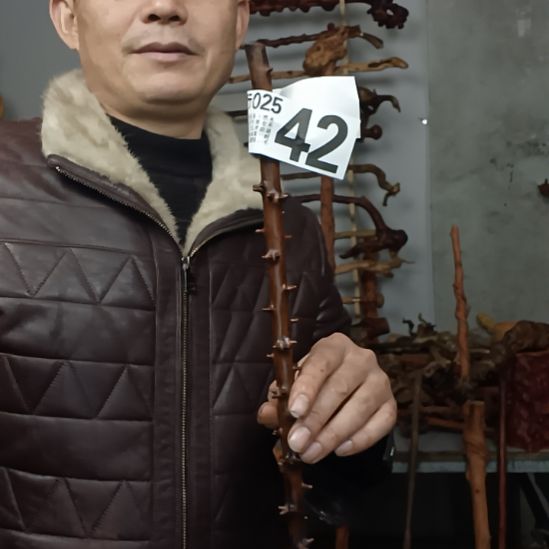 假***紫香榧木高山 檬子木文玩料