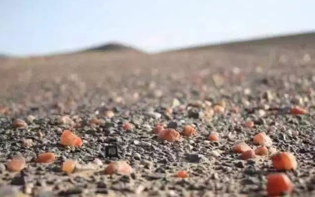 阿拉善奇石摆件办公室摆件盆景石