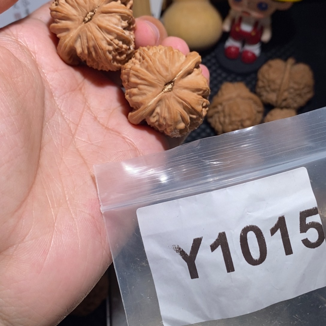 文玩核桃把件米***水白狮子
