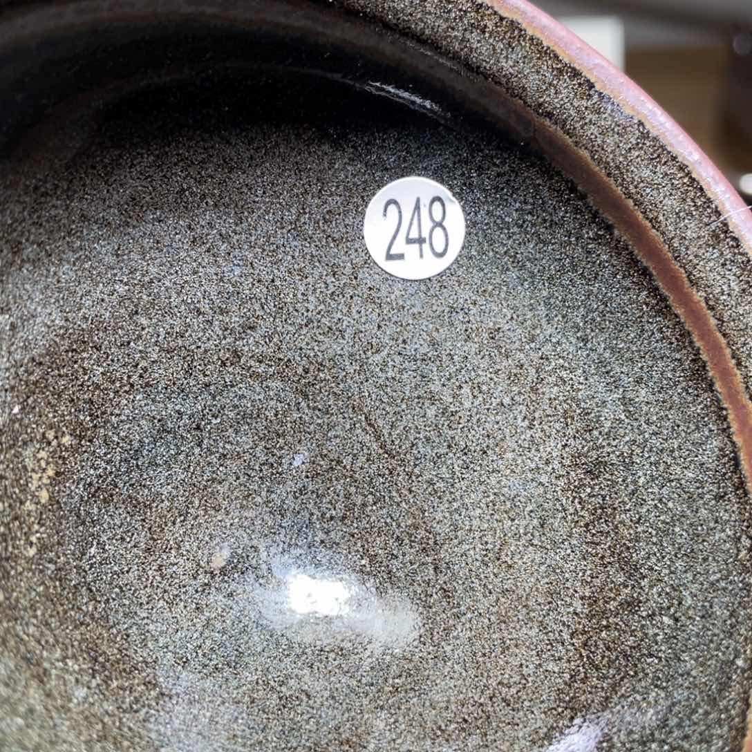 茶盏6666666666666666