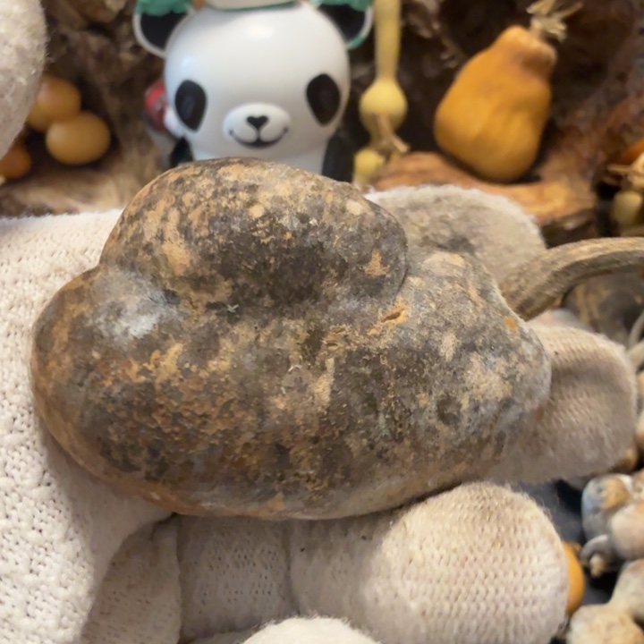 那***星76666666666777777778