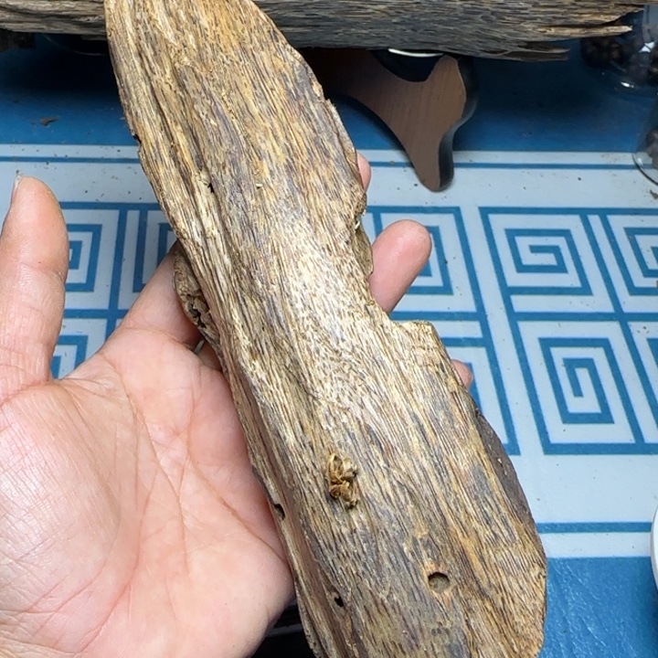 线香绿奇陆河虫漏84克