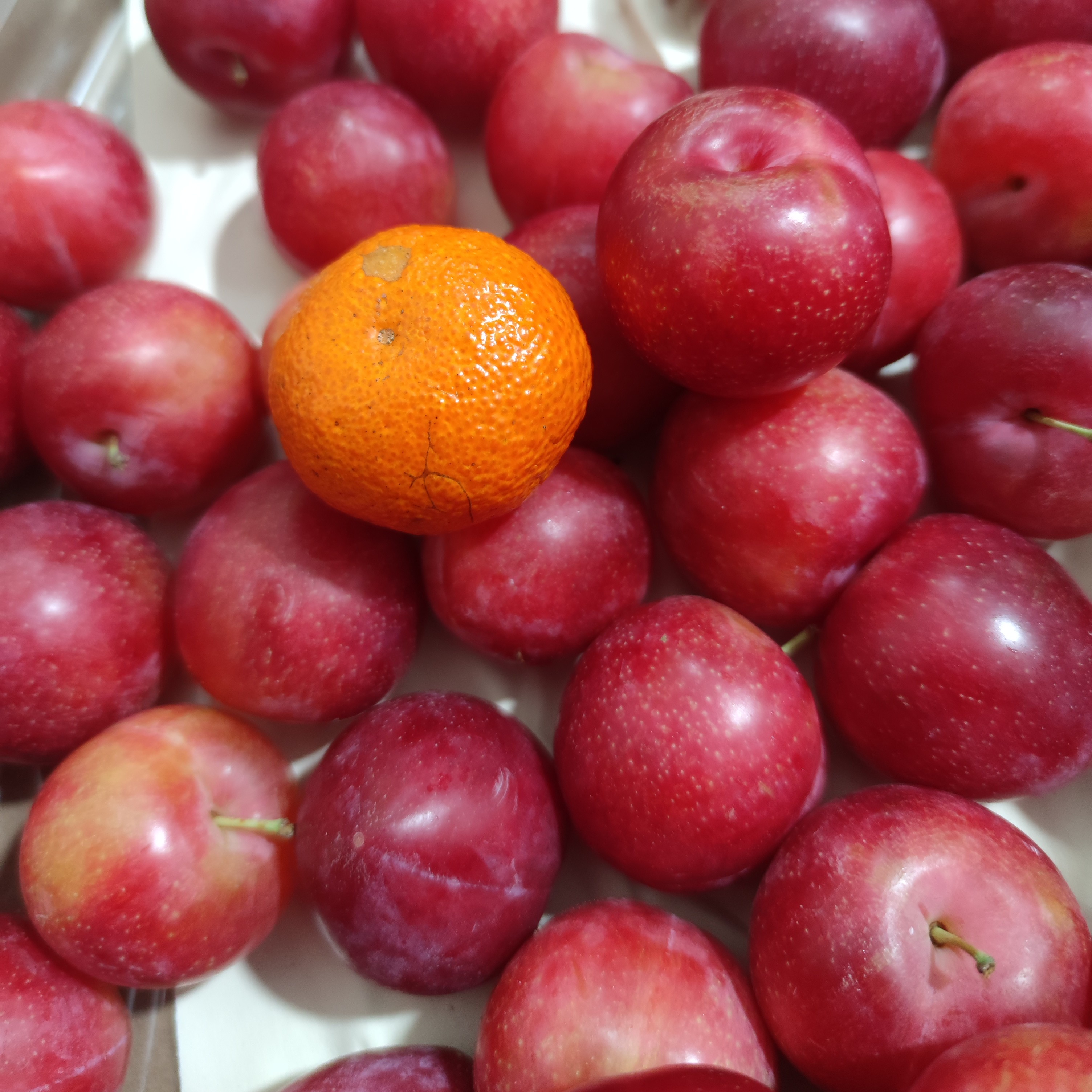 智利-樱桃李 4A大果 酸甜黄金比例  新鲜 水分足 味儿正 