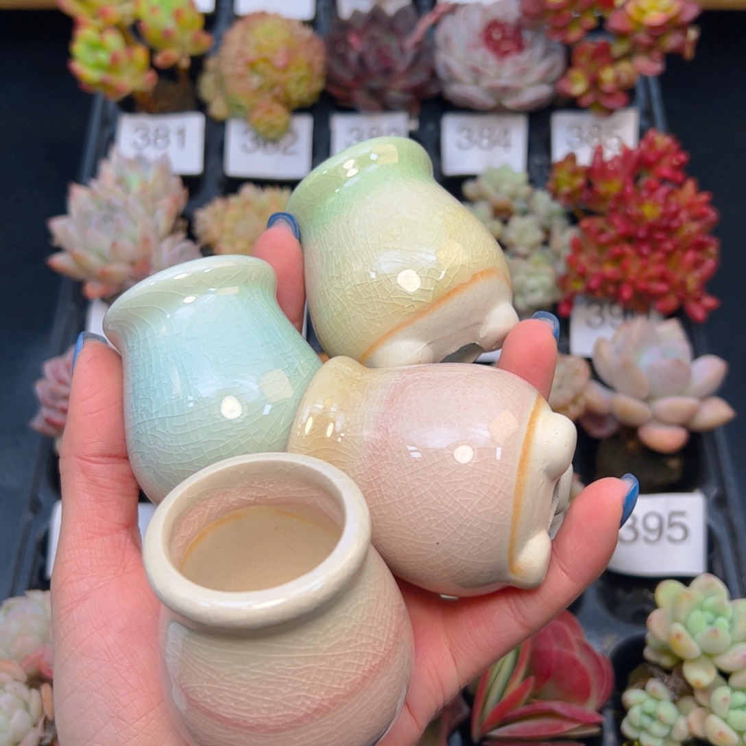 4个小高盆………………