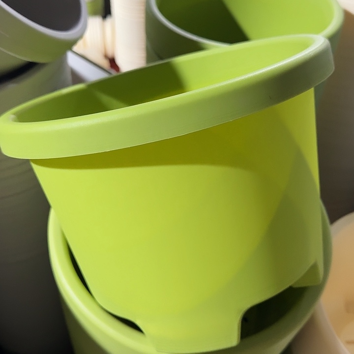 球根盆3号果绿无托6个