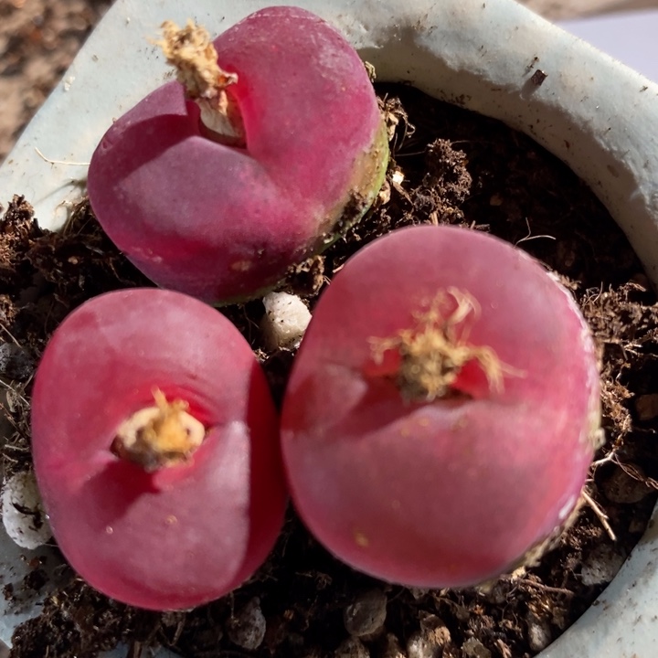 30104一组一组一组