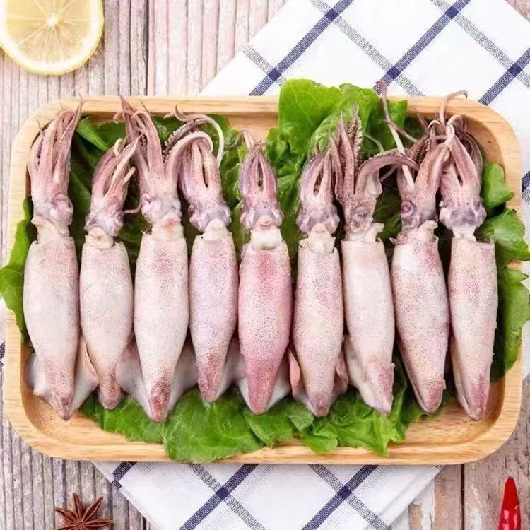 [海隆旺]3斤海兔满籽墨鱼仔新鲜海兔鲜活带籽笔管鱿鱼30%-50%带籽