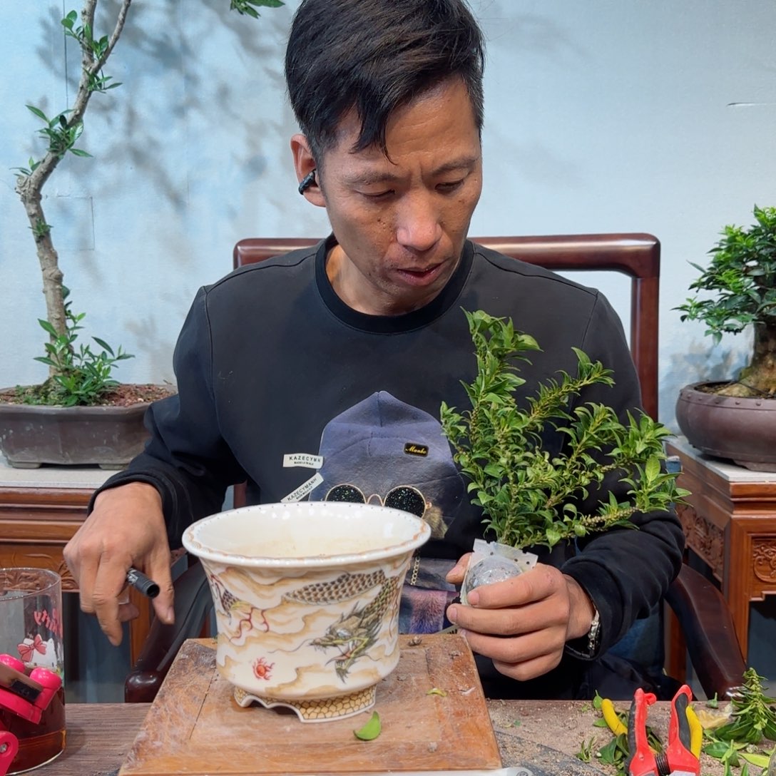 少量花朵（建议范围：2朵-5朵 或40%以下）人*、