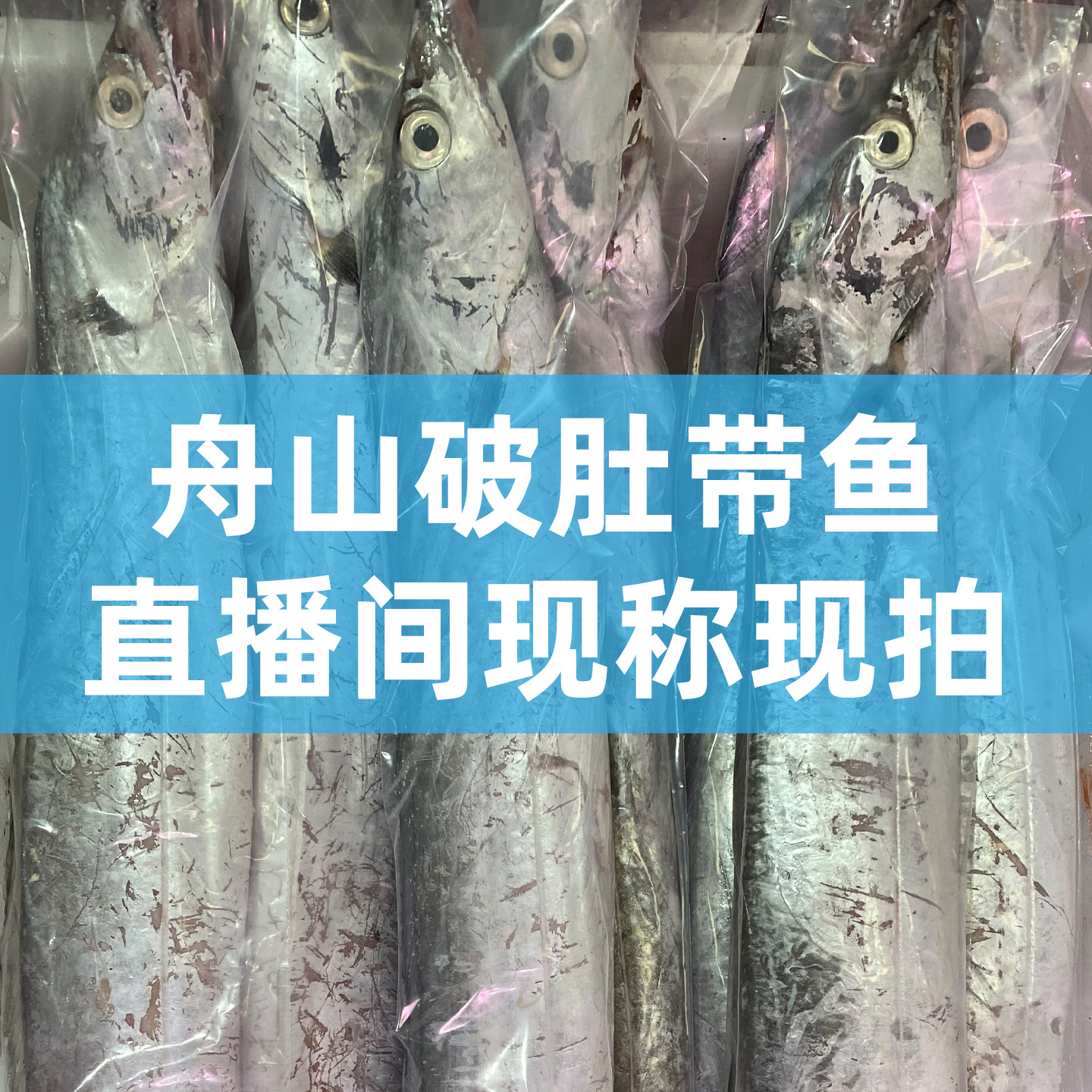 [油带现称]直播间现称现拍舟山油带鱼[途中易破肚]