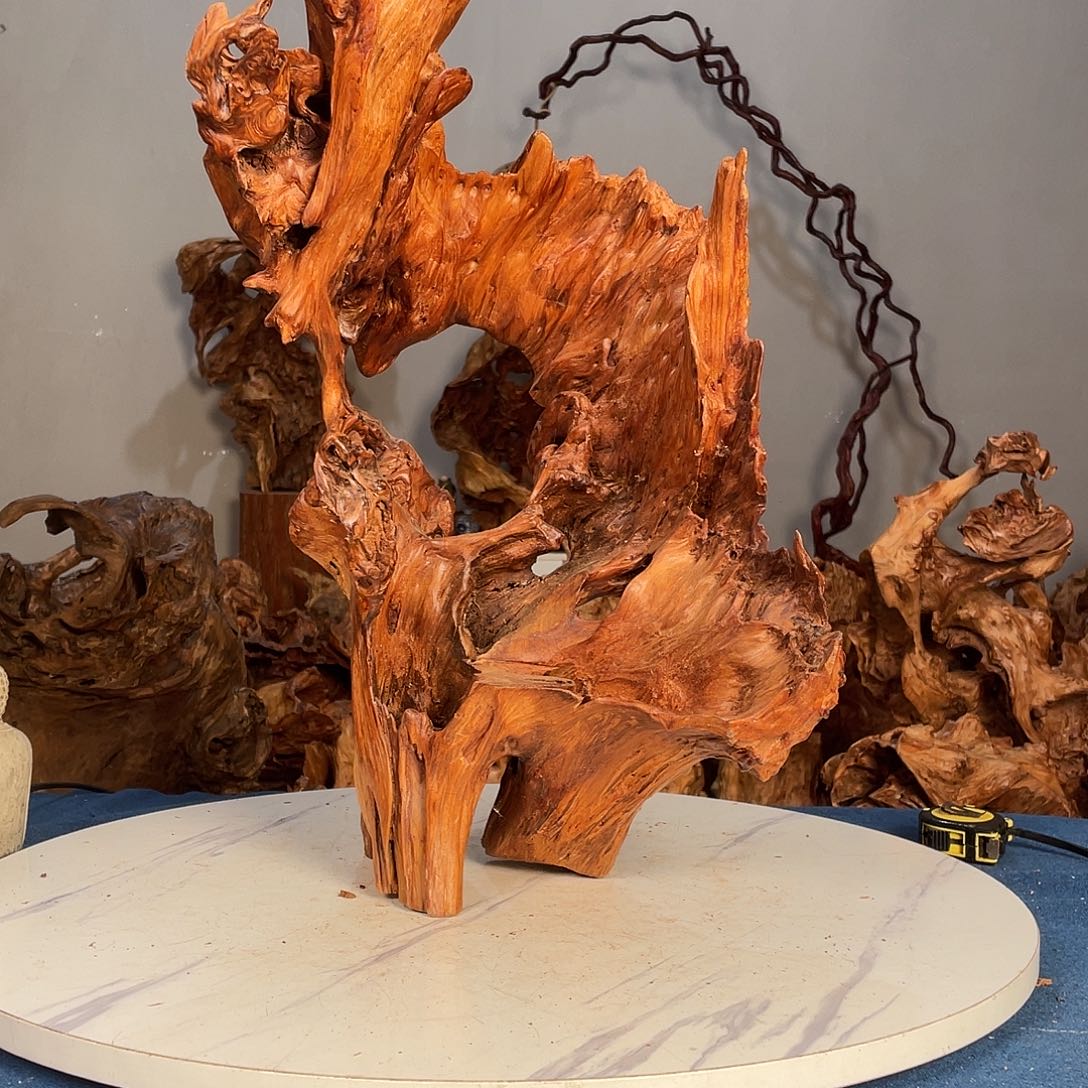 香榧木用****313457789999999