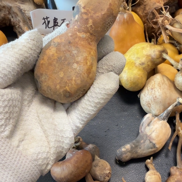 酒***子666666666667777788888989