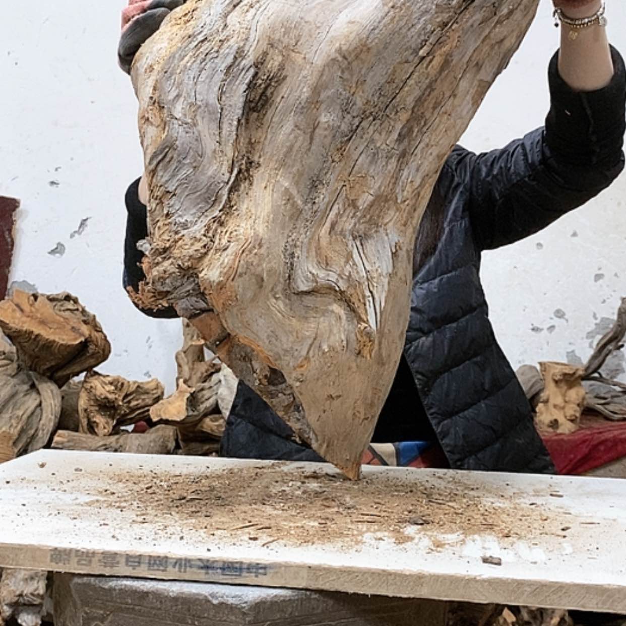 【闪购商品】柏木盛****生我们都是好孩子