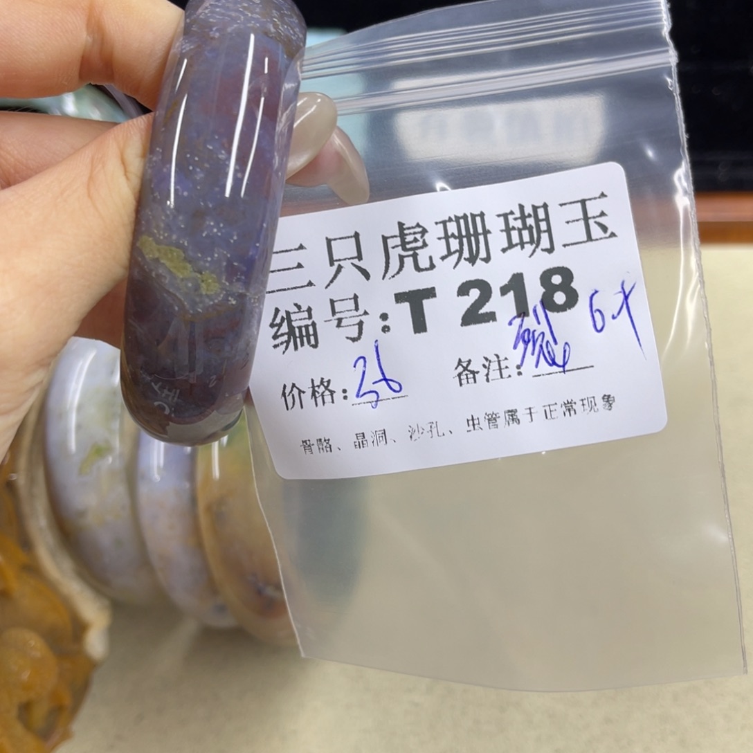 *****硅化珊瑚（珊瑚玉）h未镶嵌