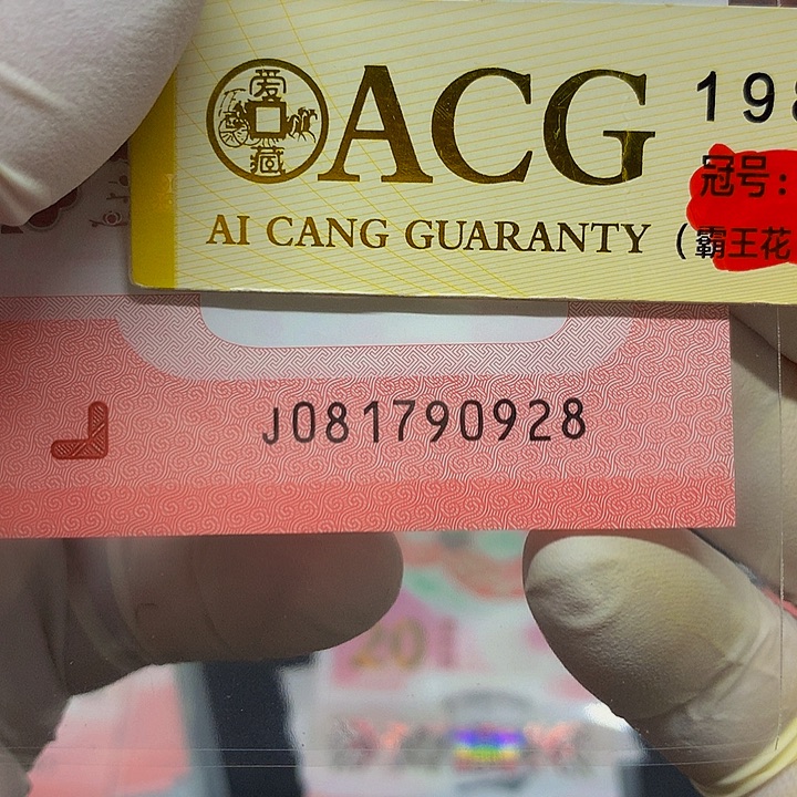 塑料一张尾号90928               