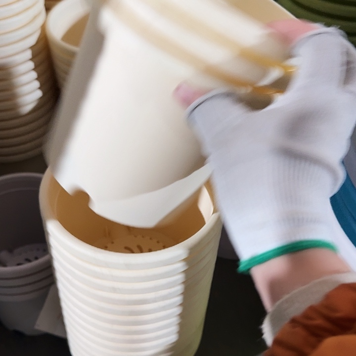 四季2#口径17米黄6个无托