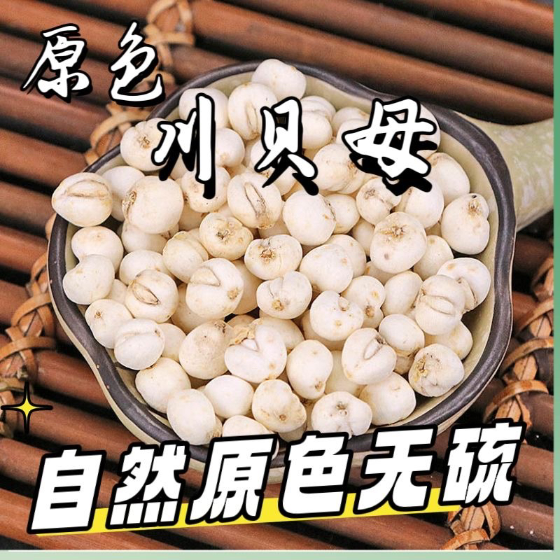 (精选无硫)川贝母散装食品搭配煲汤/煮水搭配炖雪梨