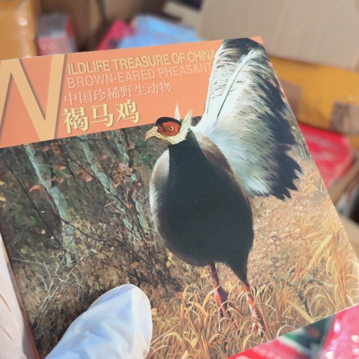 其他普通金属褐马鸡卡册