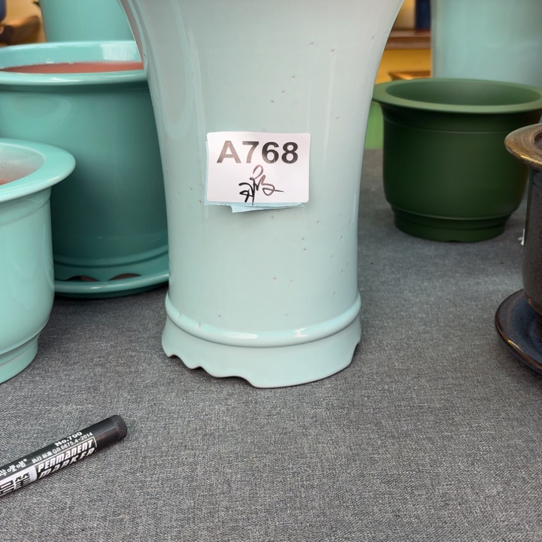 含***草紫砂花盆兰花2685268665888