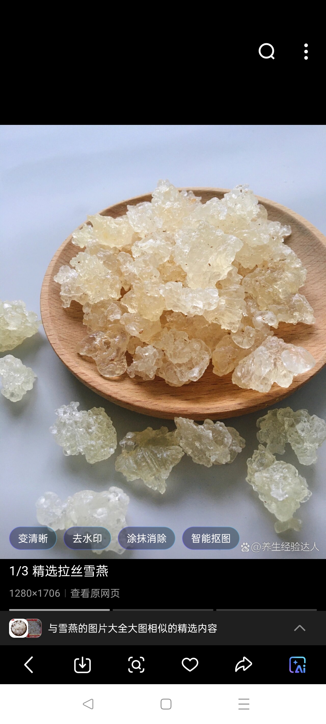 云南深山大树雪燕500克