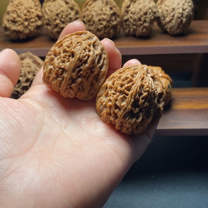 有修南疆石42111111