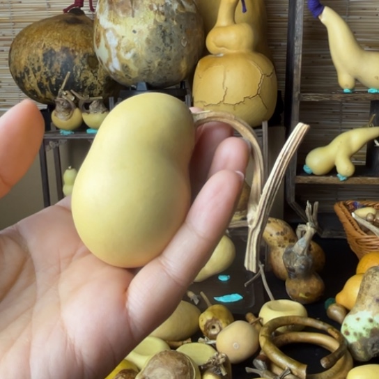 劉****?小猪厚皮响籽一把握