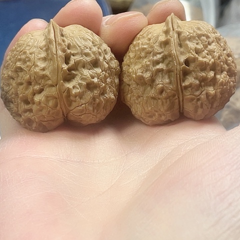 文玩核桃把件磁石金蟾带彩差克重40