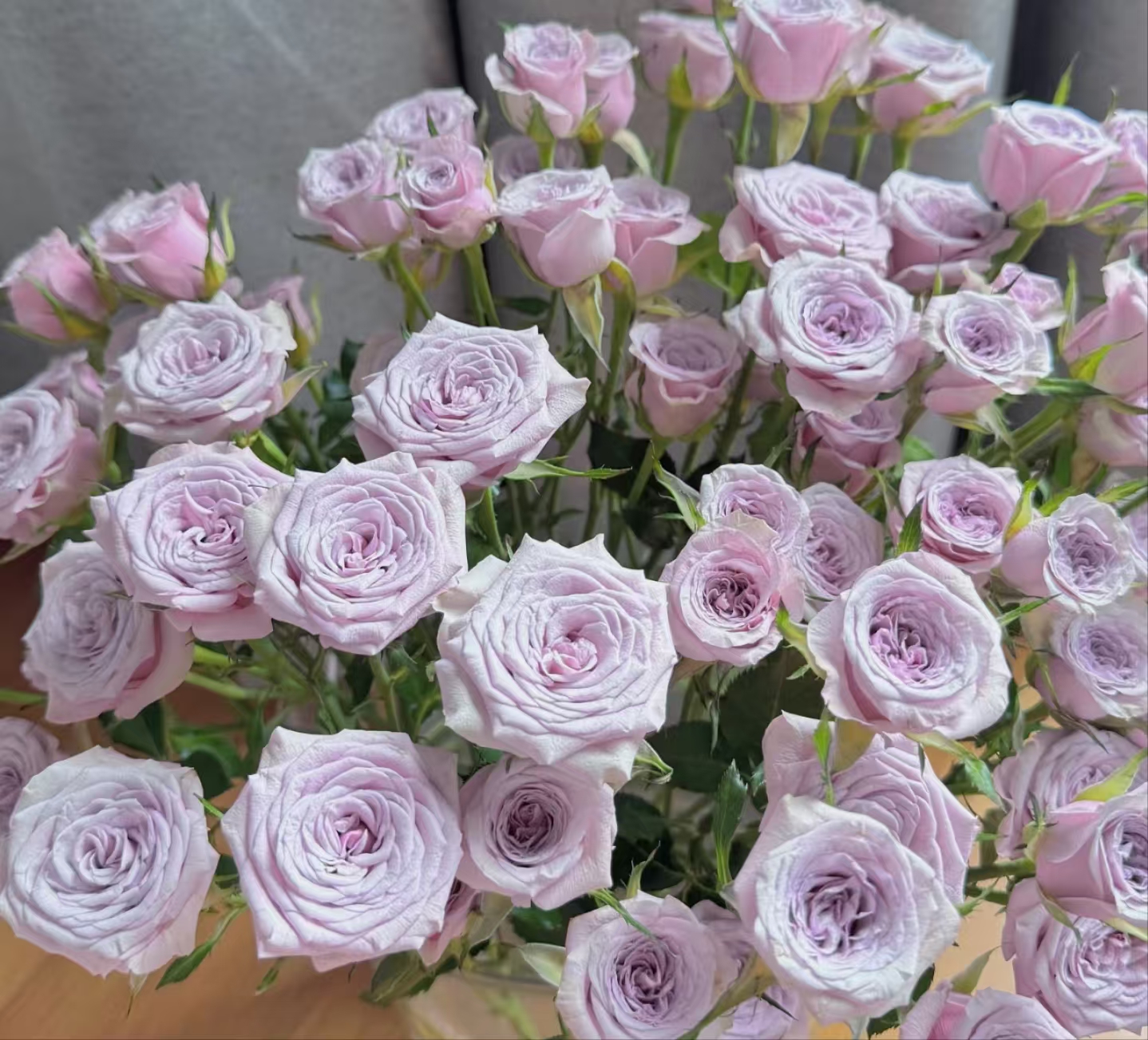 【莱拉 多头10支】多头 玫瑰 已发货不支持退款 任意两单京东/顺丰