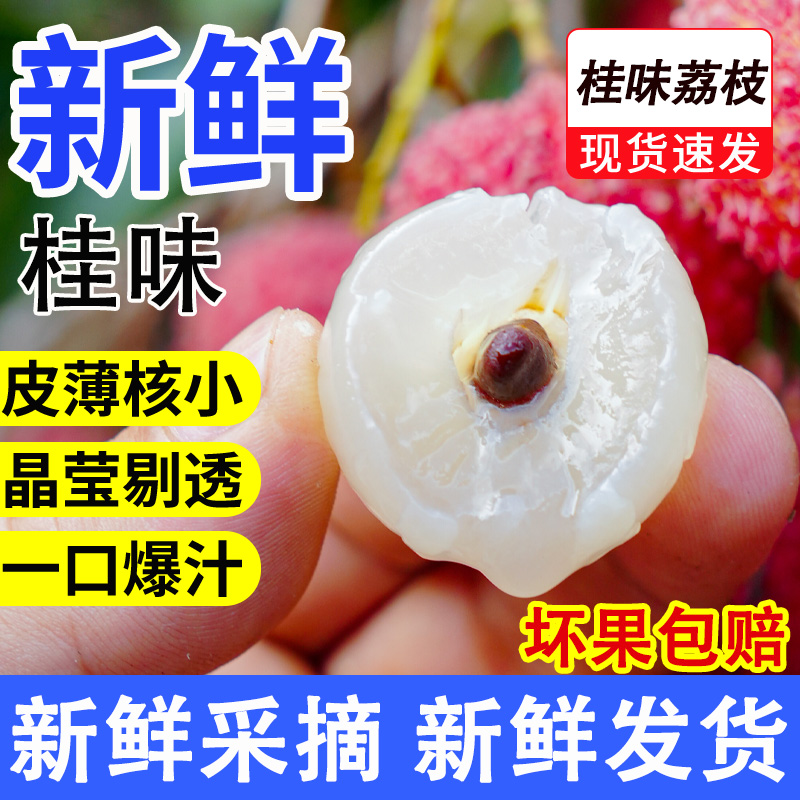 【冷链发货】桂味荔枝纯甜爆汁现摘新鲜水果采摘多仓发