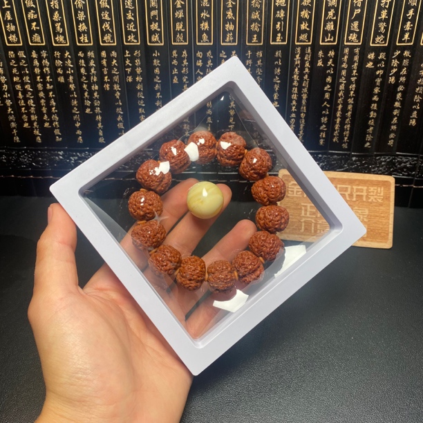 严选满肉梅花蜂王：4号