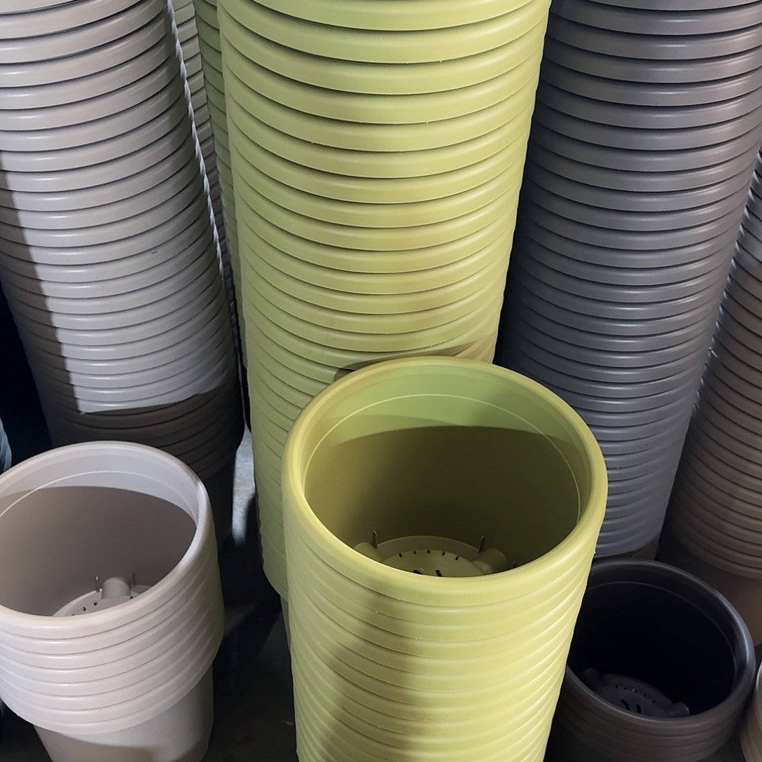 树脂四季5号无托10个果绿