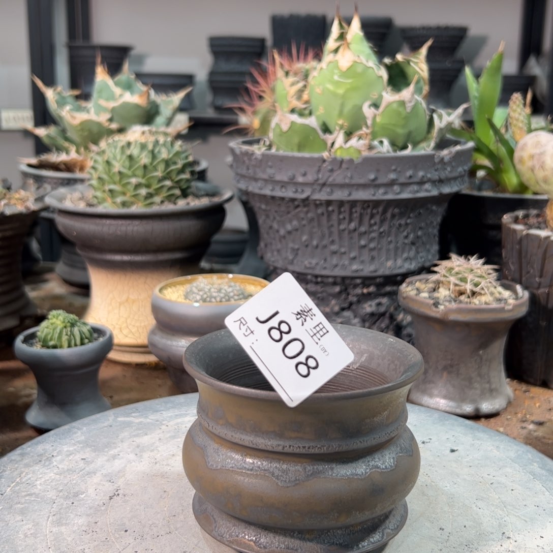 景德镇手工素里内口9.5高7.5