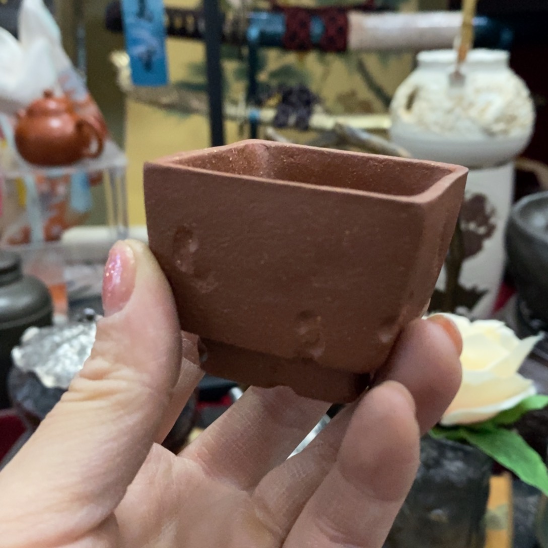 茶盏中****运推荐这家店推荐这家