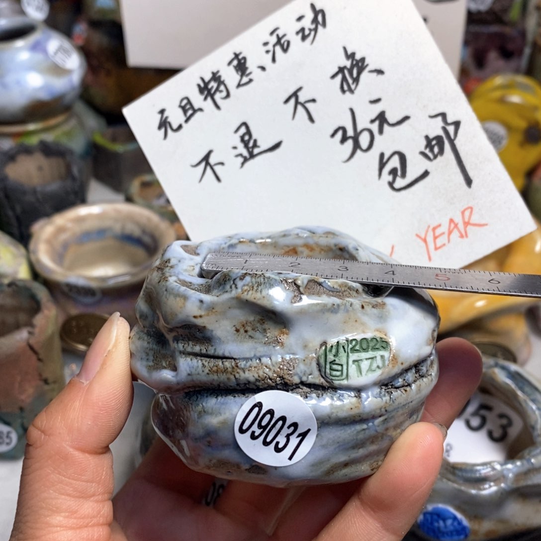 特价花盆不退不换原价68