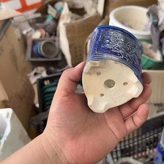 我是小鱼你要去吃吗今天