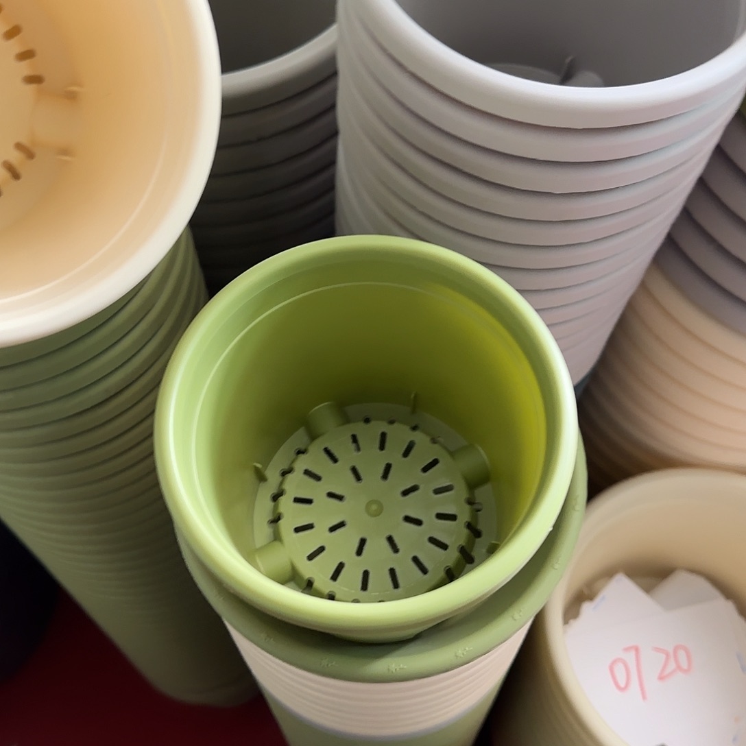 树脂1号带托10个果绿