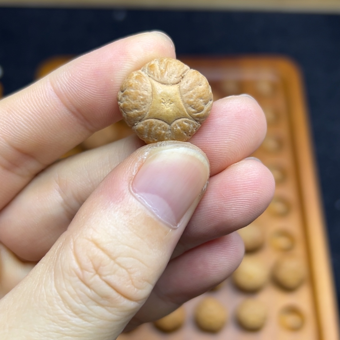 凤眼菩提手串19.9梅花肌肉五星上将