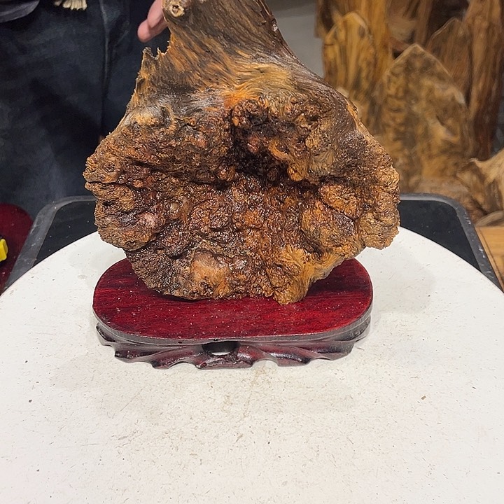 松木（琥珀木）小***，