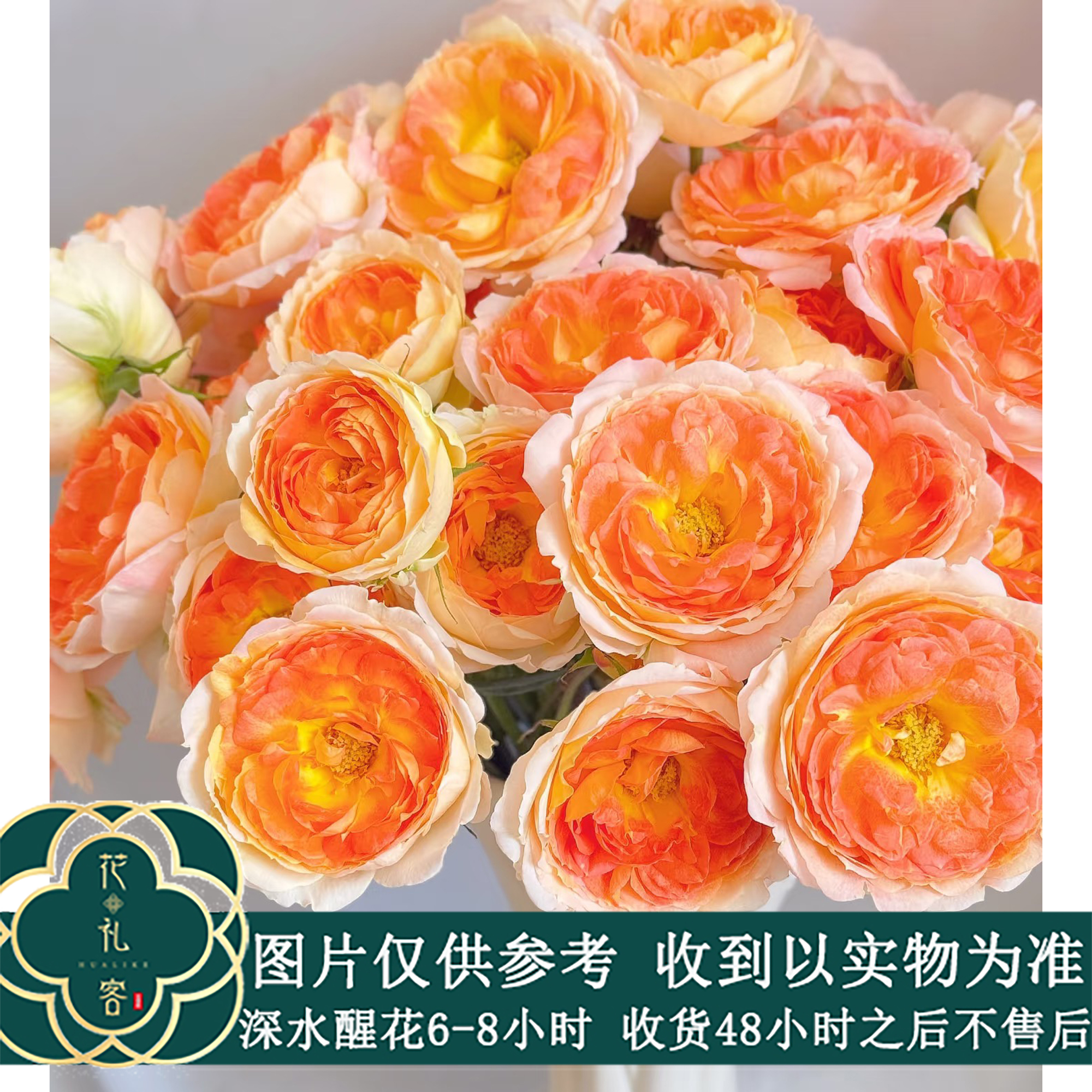 云花巷#多头玫瑰 【爱子公主】鲜花优选 顺丰直发