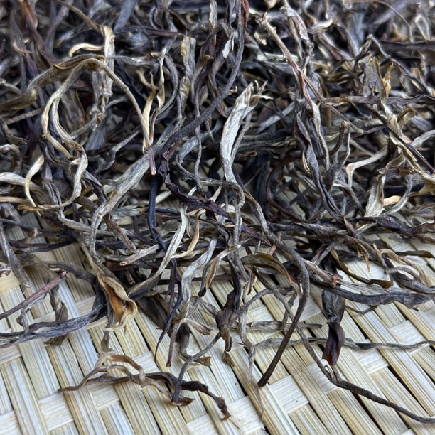 蟒蛇箐2023年春尾【大树】散料120g