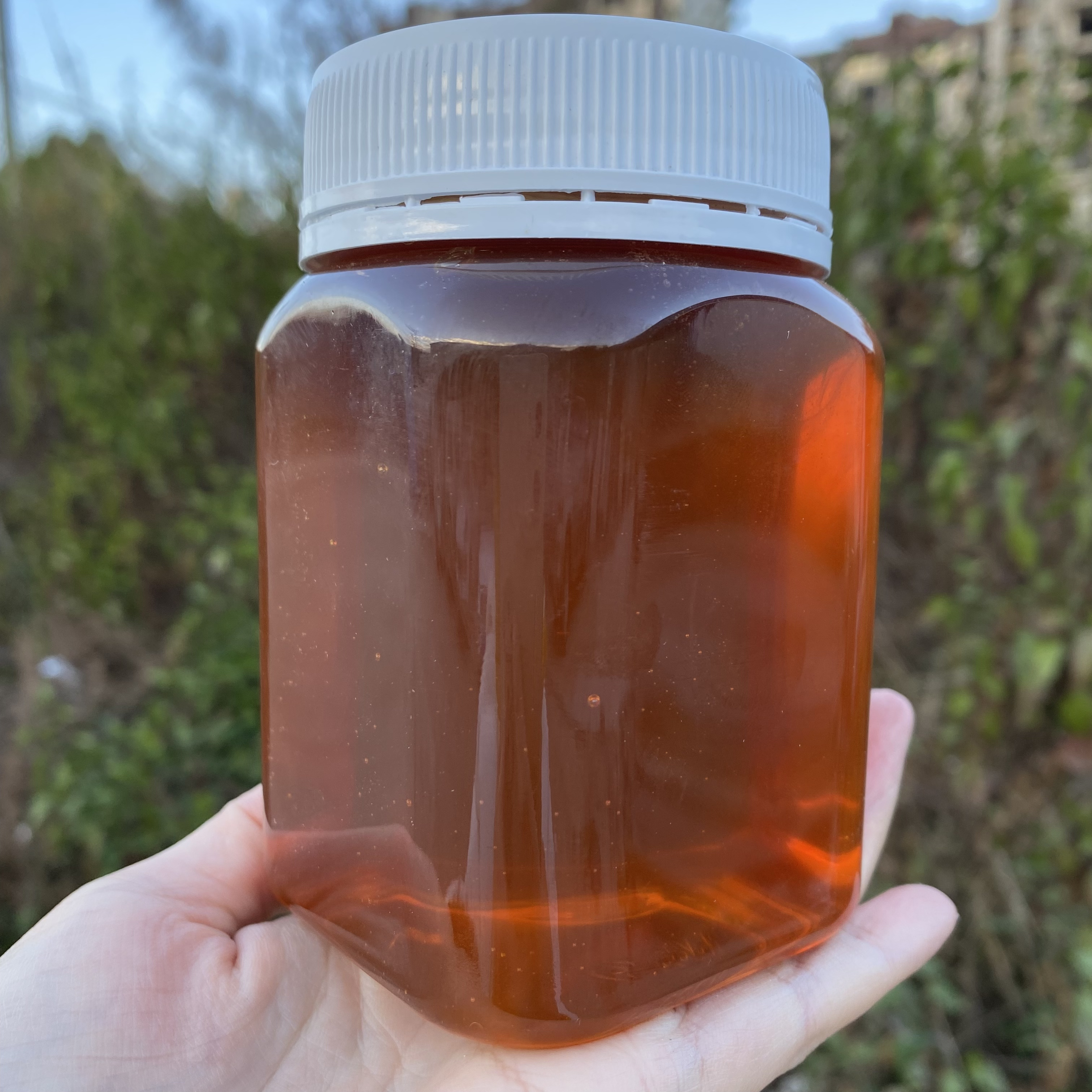 【W土特产蜂】巢蜜净含量500g