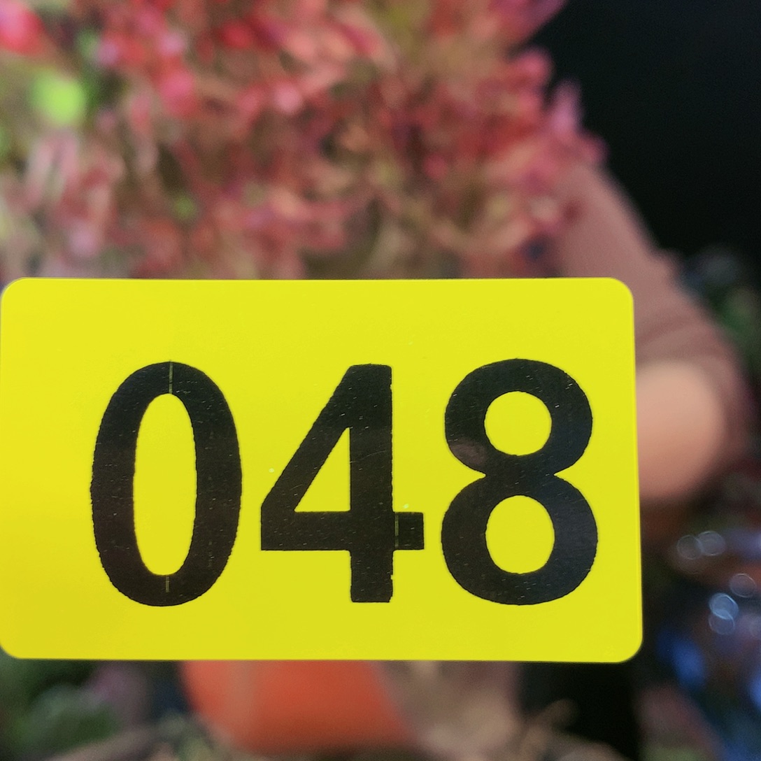 Ssssssssssssssssssss48