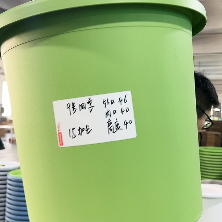 特价9号四季口46高40果绿无托4只