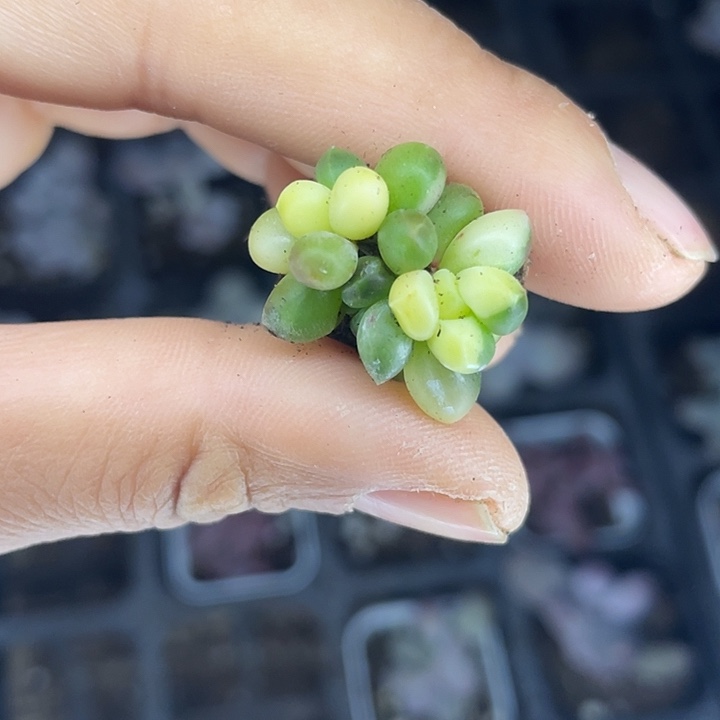 一物一拍满18包邮