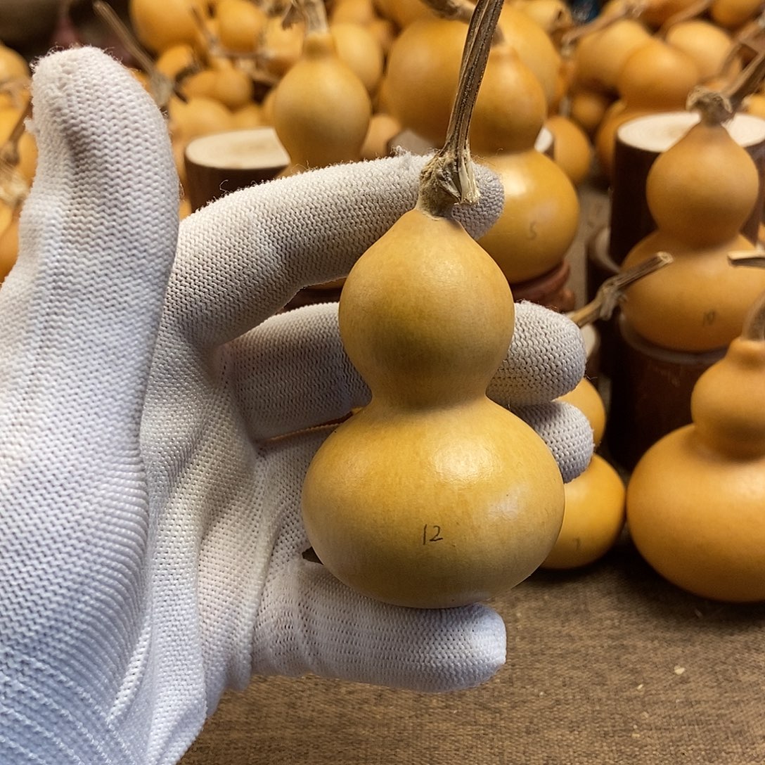 文玩葫芦 完美主义者 慎拍12