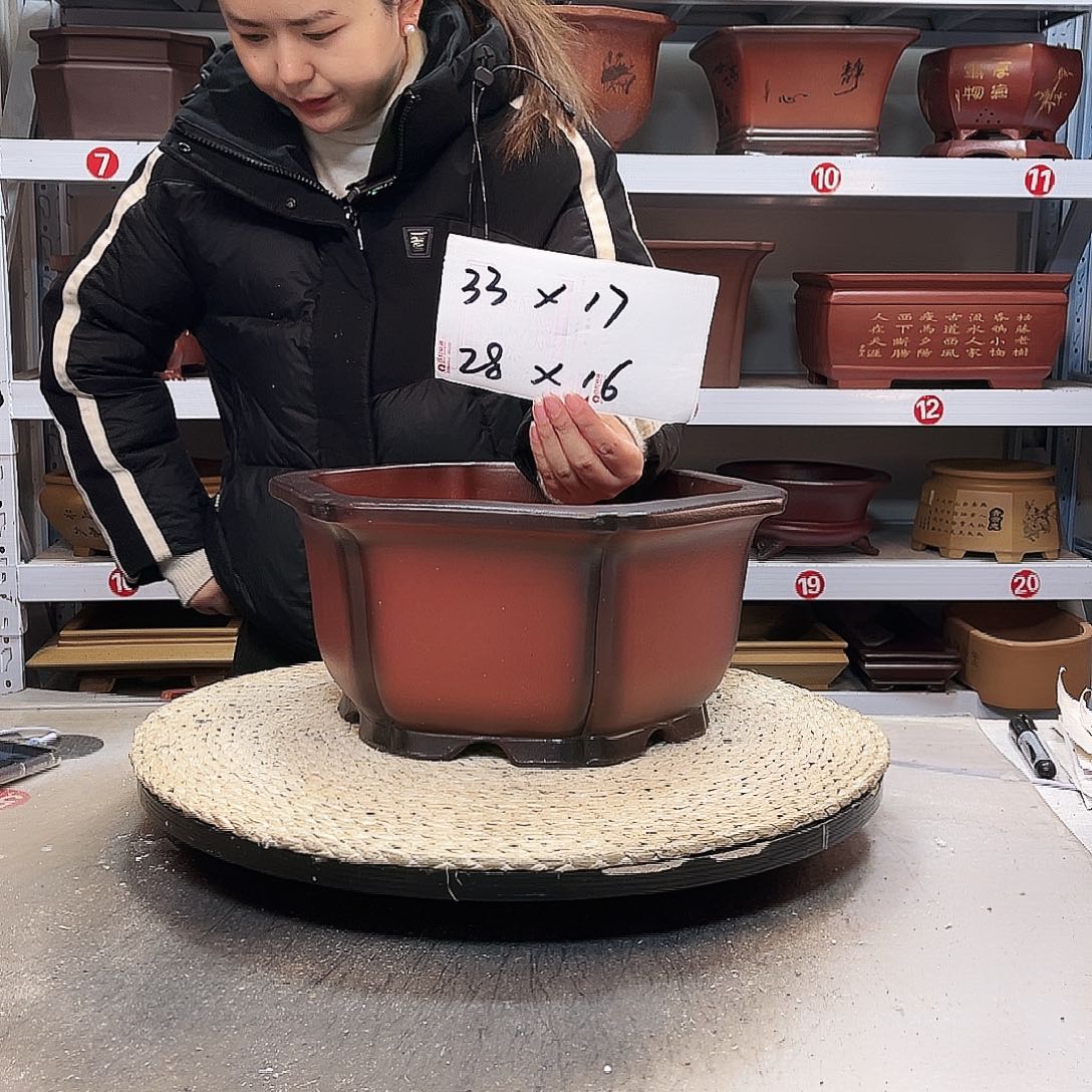 紫砂花盆紫砂花盆里