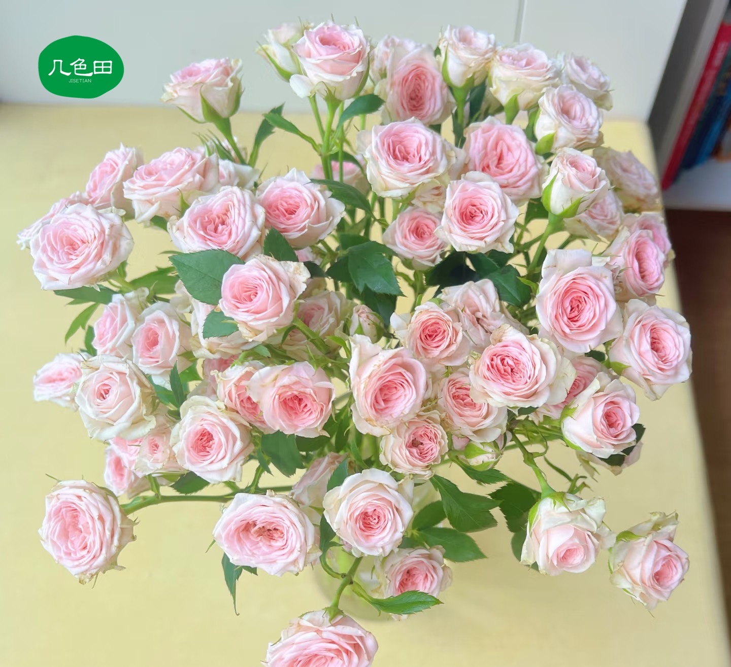 粉玲珑----多头玫瑰云南直发鲜花云南花插花鲜花