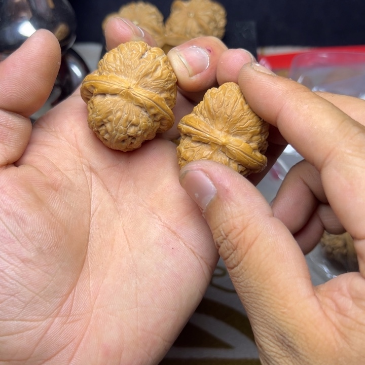 一*超巨巨巨巨巨巨鳄