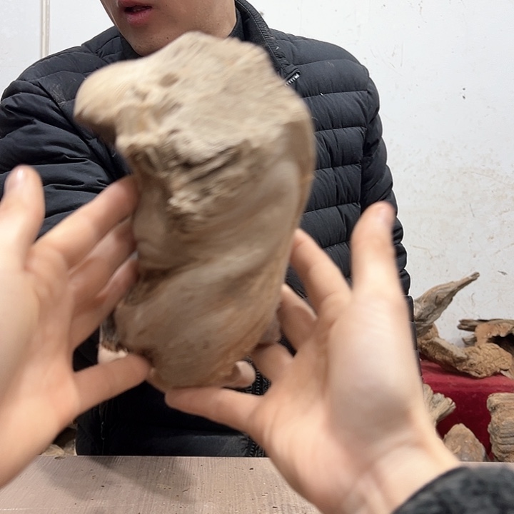 柏木幸*纪我们的生活也是如此的丰富